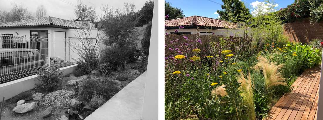 Avant-après de l'aménagement d'une petit jardin dans un lotissement par un paysagiste dans l'Hérault