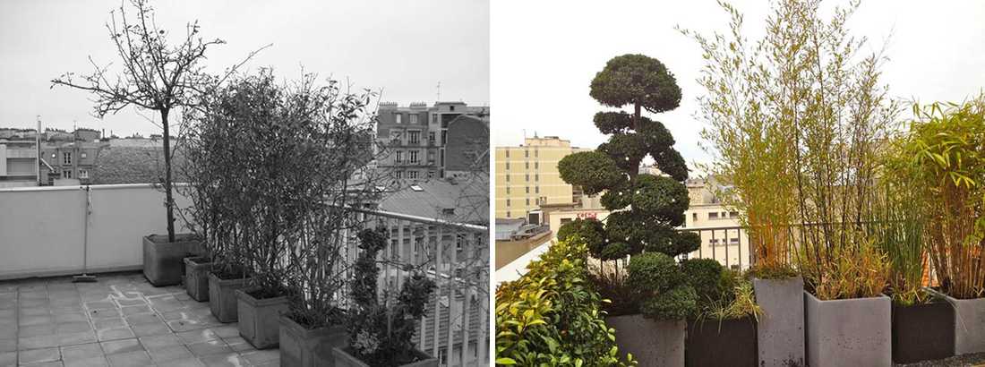 Avant - Après : Aménagement paysagé d'une terrasse avec vue à Montpellier