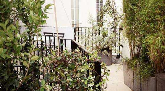 Photos avant - aprés de l'aménagement d'une terrasse à Montpellier par un jardinier paysagiste