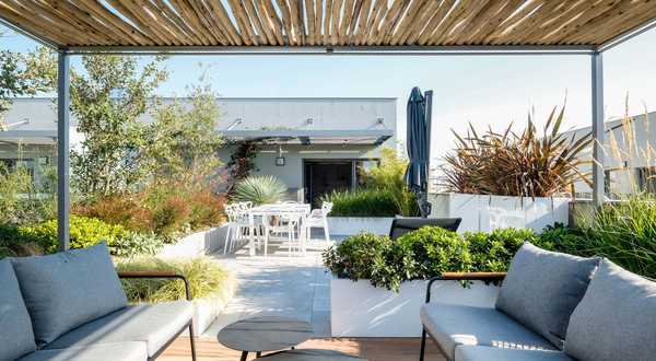 A landscape designers renovates a pool space in a garden in Montpellier