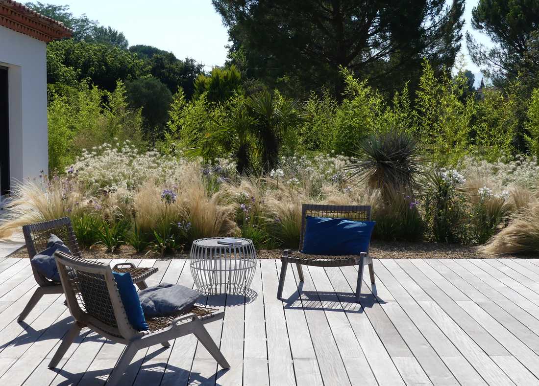 Mediterranean garden with Provencal vegetation in Occitanie