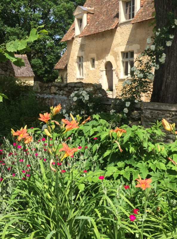 Fleurs d'orangés dans un jardin dans l'Hérault