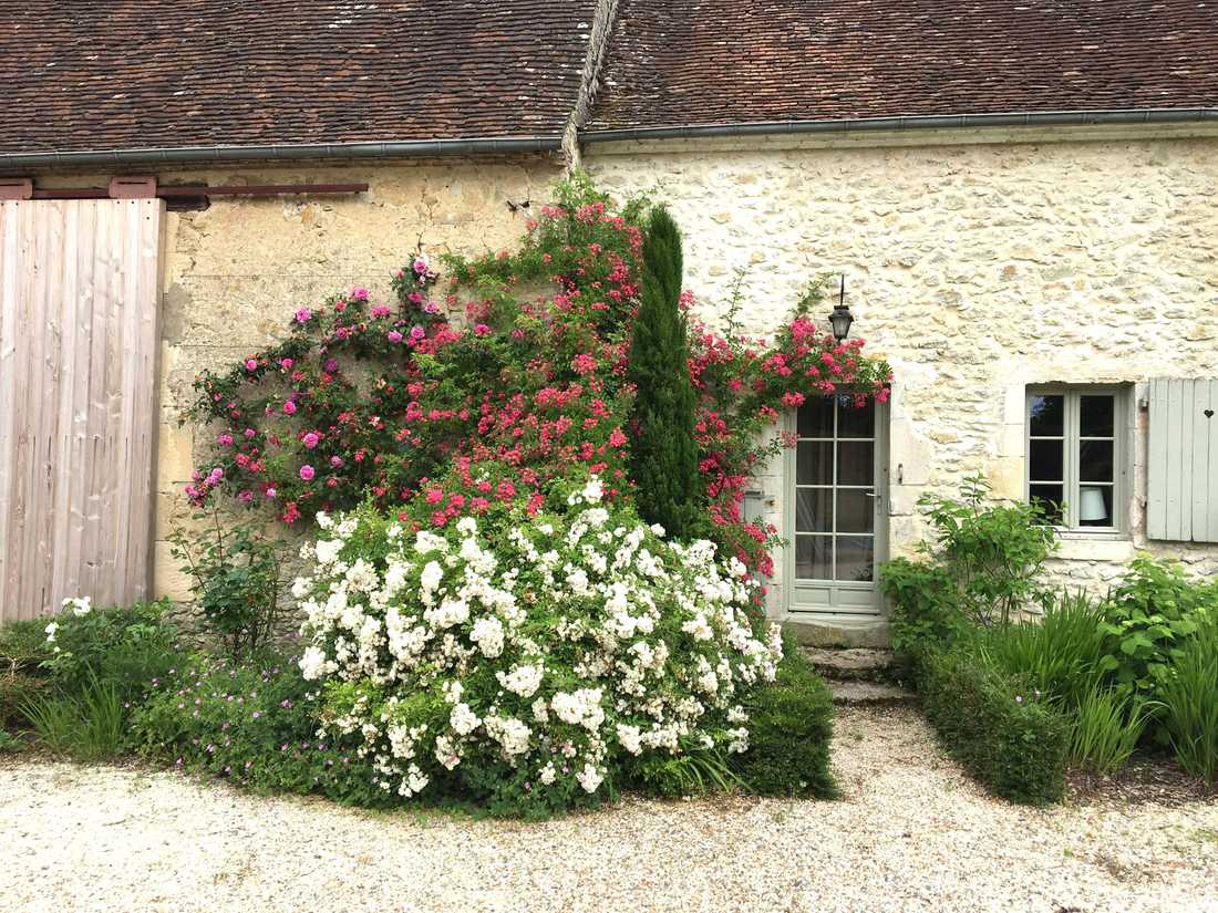 Jardin d'une maison ancienne à Montpellier