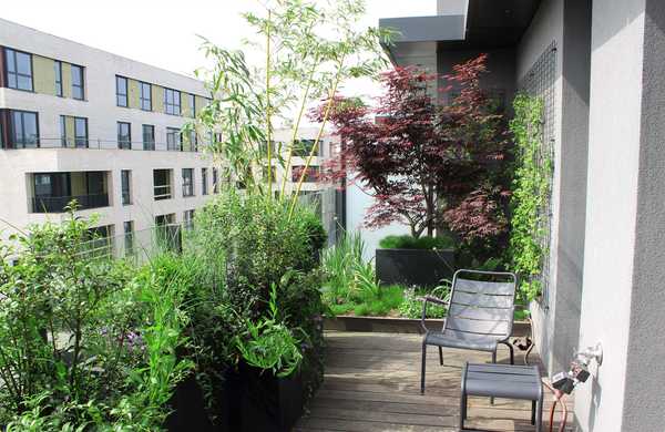 Aménagement paysager de la terrasse d'un penthouse à Montpellier.