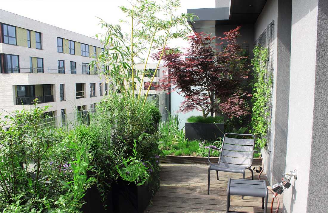 Aménagement paysager de la terrasse d'un penthouse à Montpellier