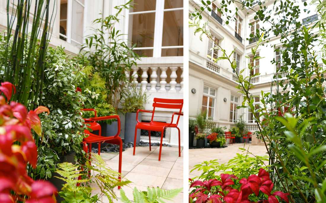 Aménagement paysager de la cour d'un hôtel particulier à Montpellier