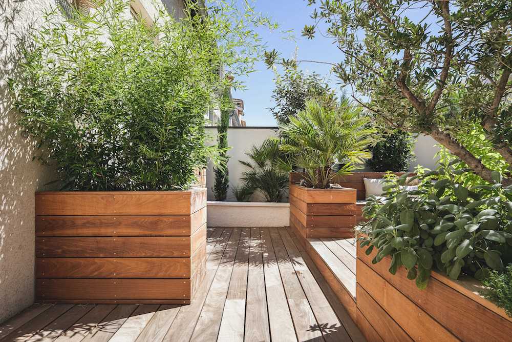 Aménagement d'une terrasse en bois - esprit méditérranéen - végétation