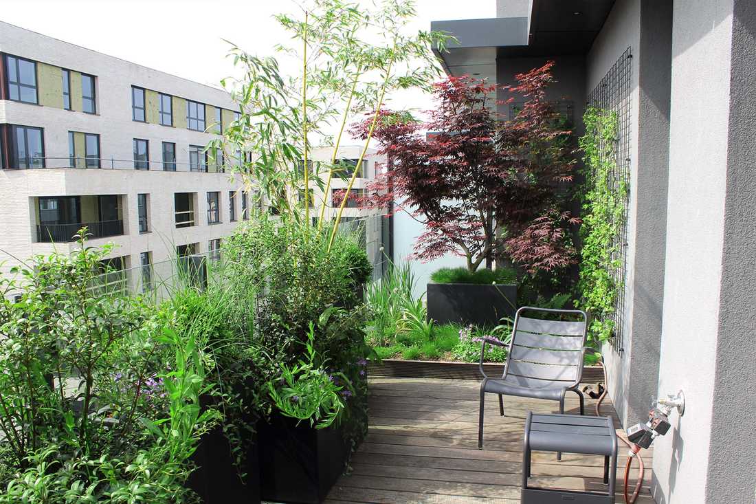 Landscaping of a penthouse terrace in Montpellier