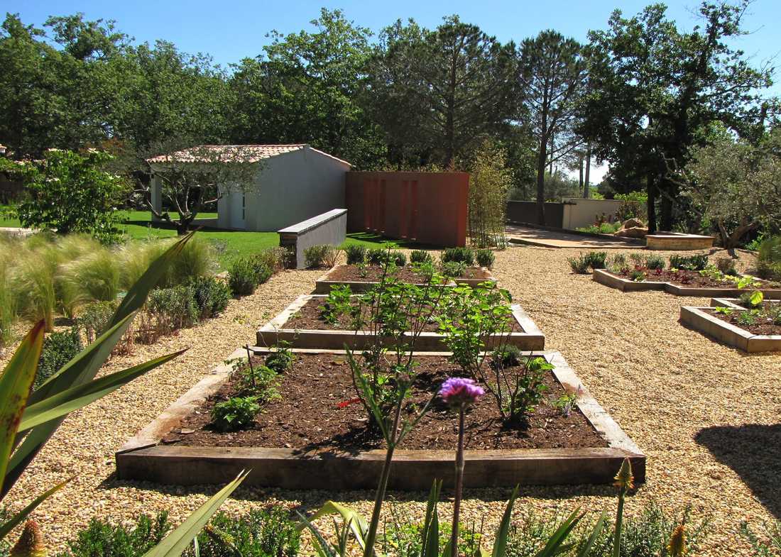 Potager méditerrannéen réalisé par un jardinier paysagiste à Montpellier